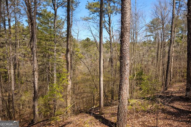 2308 Carver Mill Road, Talking Rock, GA 30175
