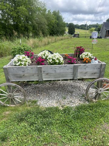 2705 McConnell Rd, Cornersville, TN 37047