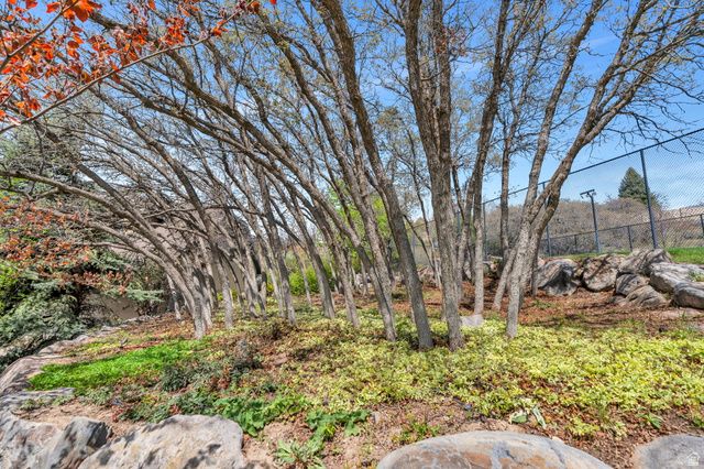 811 S HIGH RIDGE DR, Alpine, UT 84004