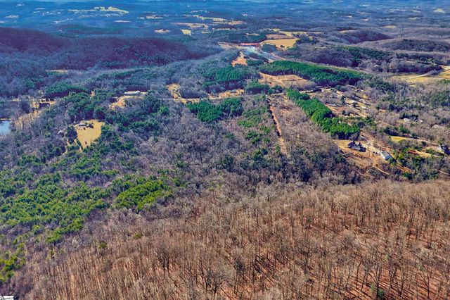 00 Highway 11, Landrum, SC 29356