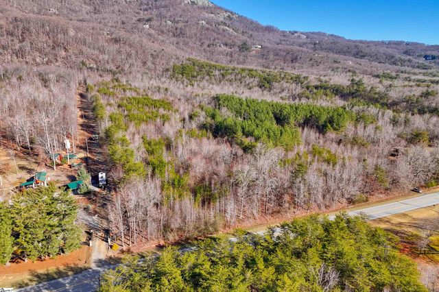 00 Highway 11, Landrum, SC 29356