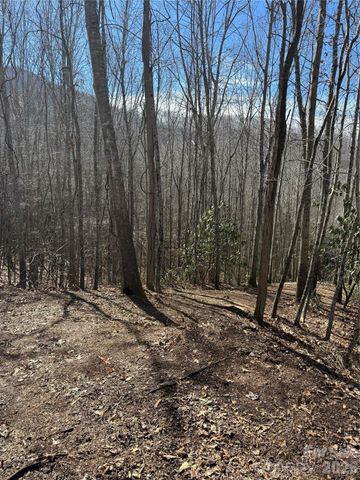 236 Down The Hill Road, Sylva, NC 28779