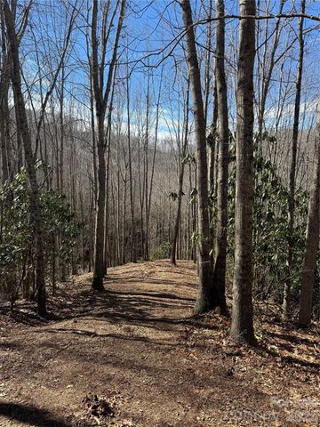 236 Down The Hill Road, Sylva, NC 28779