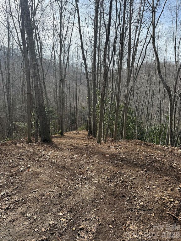 236 Down The Hill Road, Sylva, NC 28779