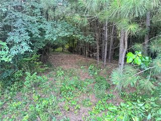 0 Dews Pond Road, Calhoun, GA 30701