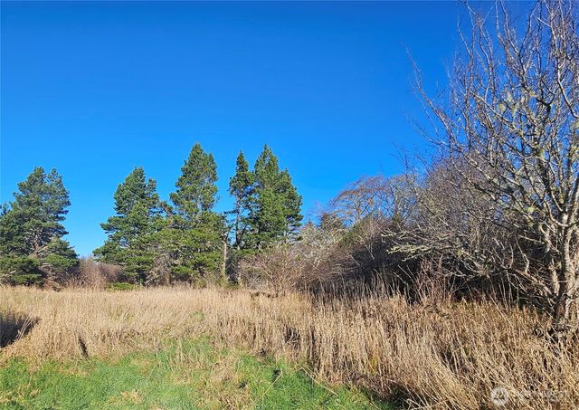 2007 41st Place, Seaview, WA 98644