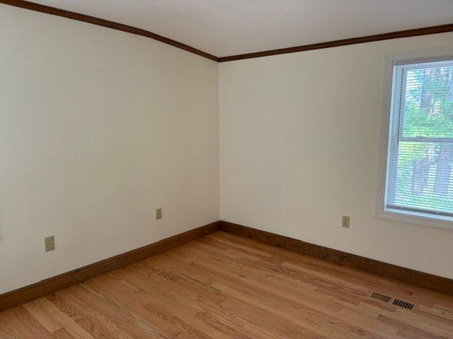 24 Green Needles 24, Littleton, MA 01460