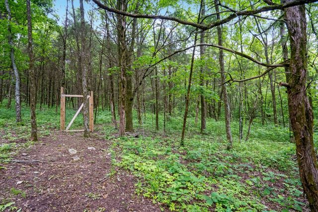 419 Alydar Dr, Watertown, TN 37184