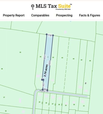 419 Alydar Dr, Watertown, TN 37184