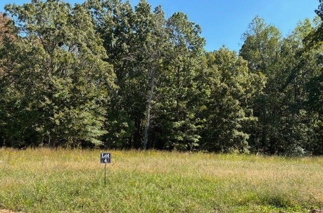 3218 Hunziker Lane, Fairview, TN 37062