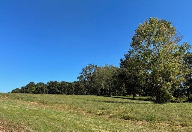 3218 Hunziker Lane, Fairview, TN 37062