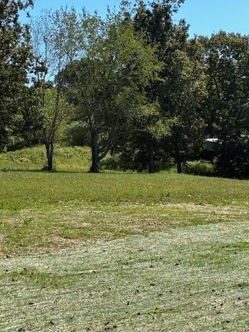 3218 Hunziker Lane, Fairview, TN 37062