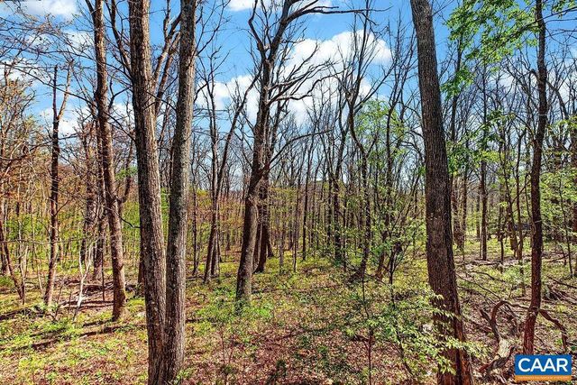 952 BLUE RIDGE DR, Wintergreen Resort, VA 22967