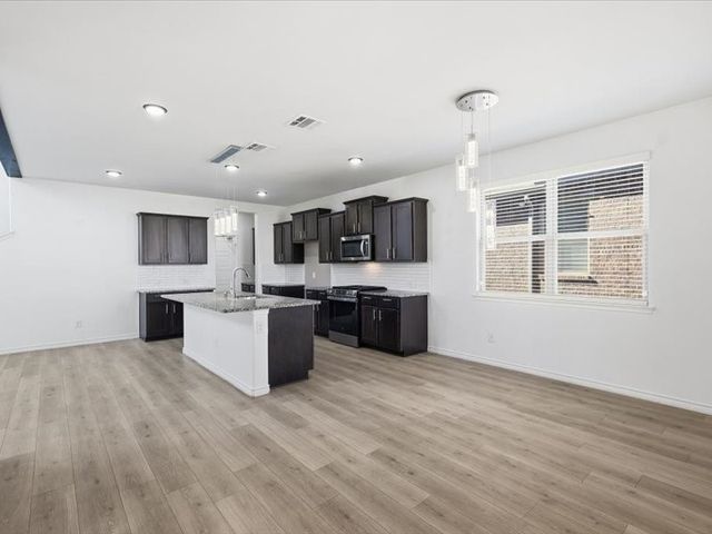 2356 Pyrite Drive, Little Elm, TX 76227