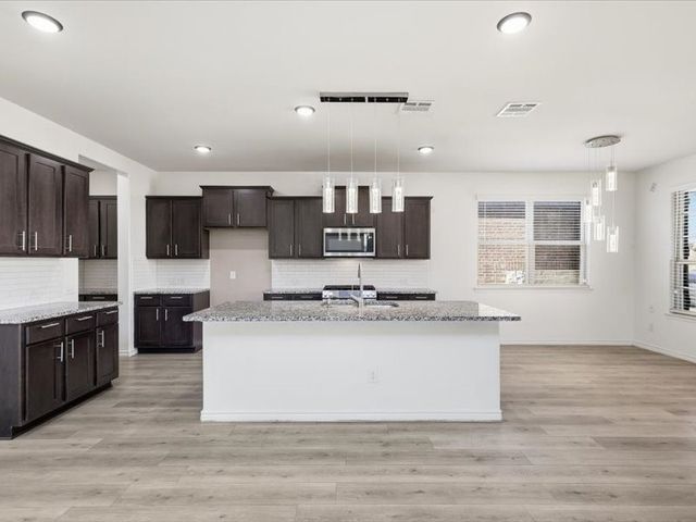 2356 Pyrite Drive, Little Elm, TX 76227