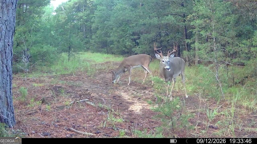 1419 Bobby Brown State Park Road, Elberton, GA 30635 — photo 4