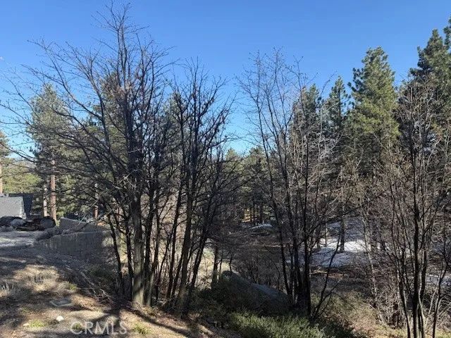 33263 Holcomb Creek, Green Valley Lake, CA 92341