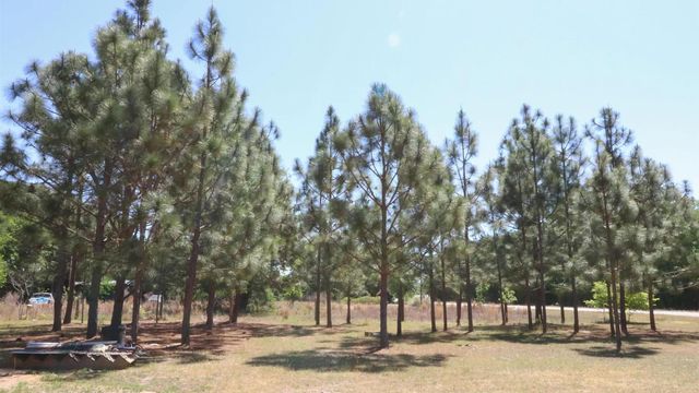 6227 Hollow Creek Road, Salley, SC 29137