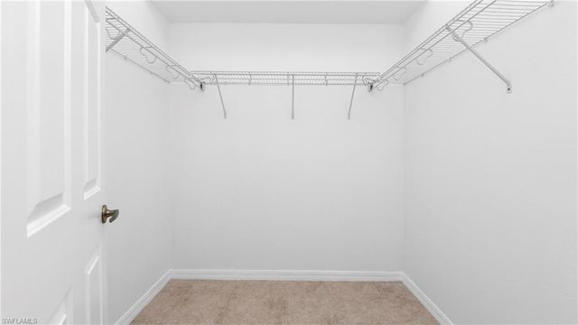 7947 Terrace Ridge DR, Temple Terrace, FL 33637