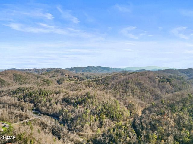 207 Buena Vista Drive, Pigeon Forge, TN 37876