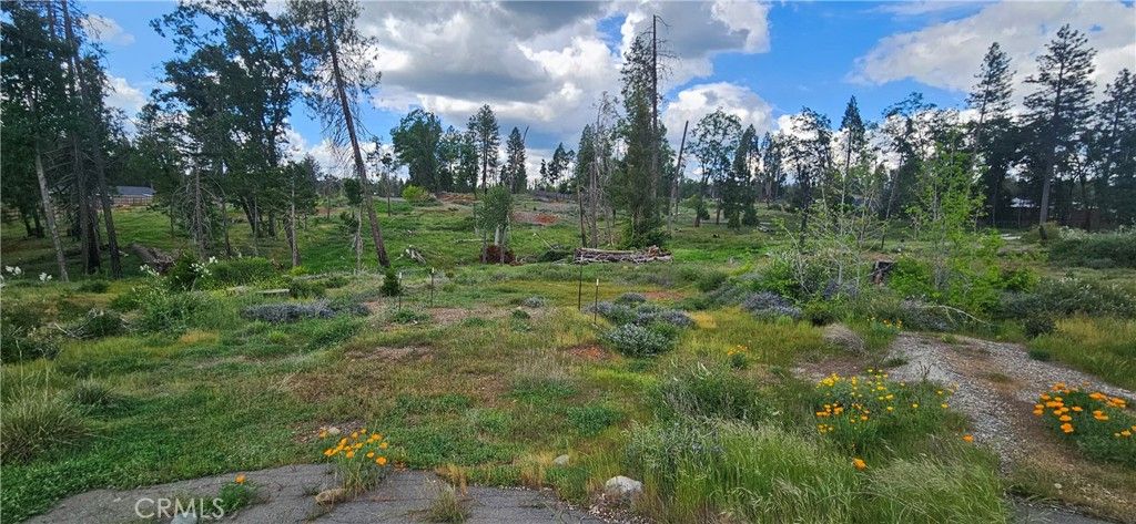 Image 4 of property listing at 13569 Wichita, Magalia, CA 95954