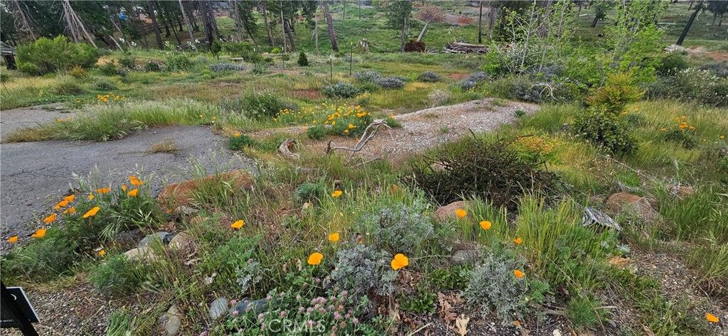 Image 6 of property listing at 13569 Wichita, Magalia, CA 95954