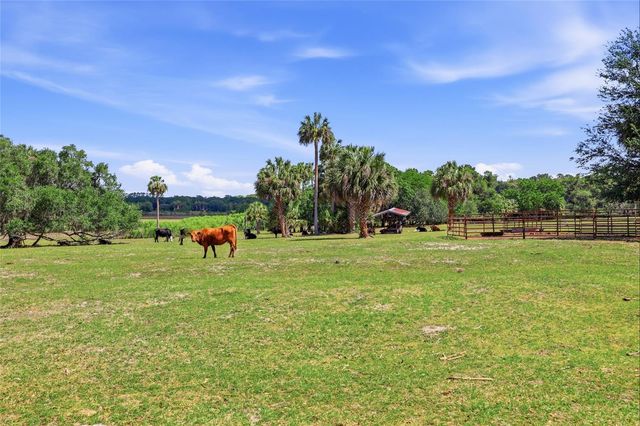 22130 NW 75TH AVENUE ROAD, Micanopy, FL 32667