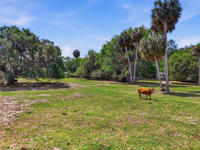 22130 NW 75TH AVENUE ROAD, Micanopy, FL 32667