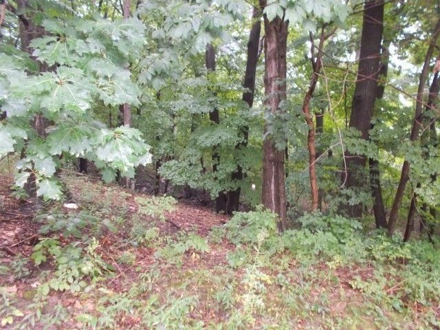 20 Depot Road, North Dansville, NY 14437