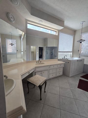 3206 Plaza Pines Drive, Houston, TX 77345