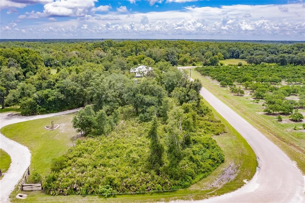SW GATOR TRAIL, Arcadia, FL 34266