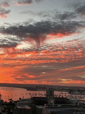 425 W Beech St 1556, San Diego, CA 92101