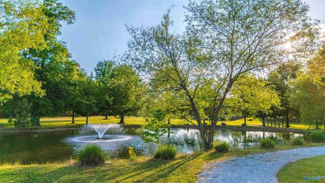 18316 Red Tail Street, Athens, AL 35613