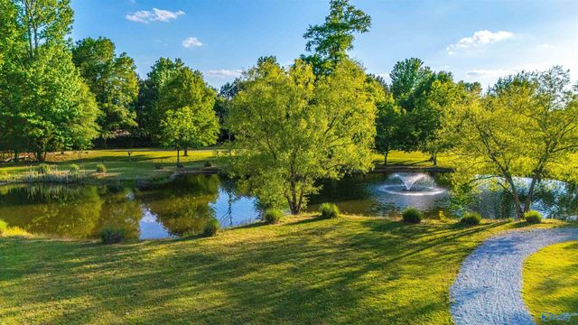 18316 Red Tail Street, Athens, AL 35613