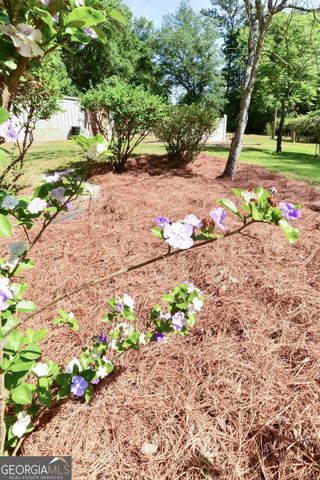 39 Adams Street, Jesup, GA 31545