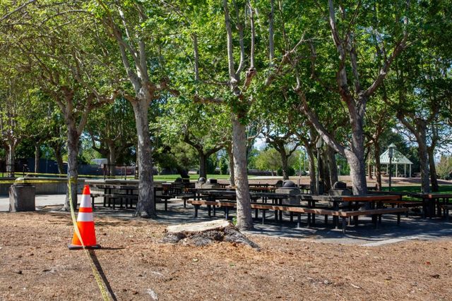 1177 Redrock Court, Sunnyvale, CA 94089