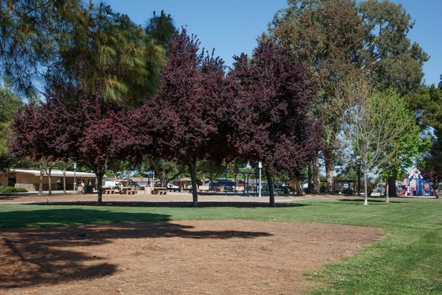 1177 Redrock Court, Sunnyvale, CA 94089