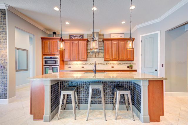 21608 SULLIVAN RANCH BOULEVARD, Mount Dora, FL 32757