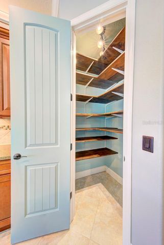 21608 SULLIVAN RANCH BOULEVARD, Mount Dora, FL 32757