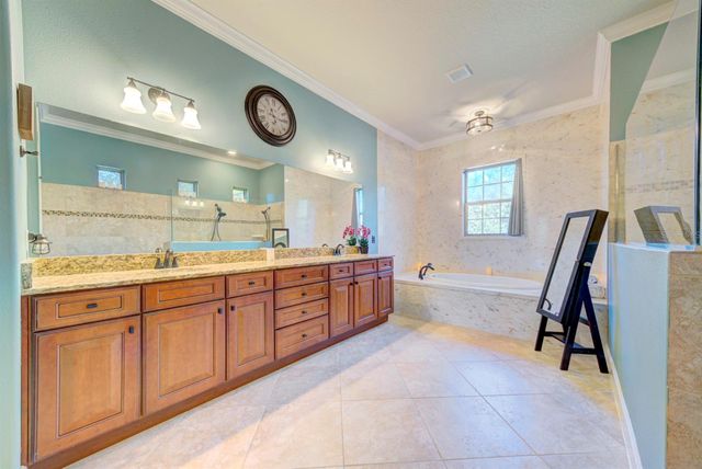 21608 SULLIVAN RANCH BOULEVARD, Mount Dora, FL 32757