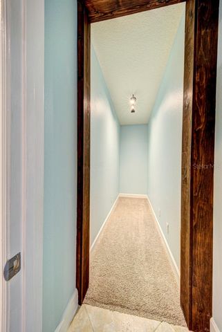 21608 SULLIVAN RANCH BOULEVARD, Mount Dora, FL 32757