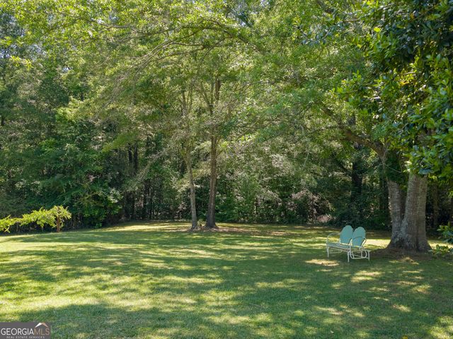 14196 Roosevelt Highway, Greenville, GA 30222