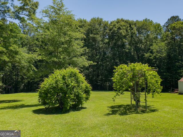 14196 Roosevelt Highway, Greenville, GA 30222