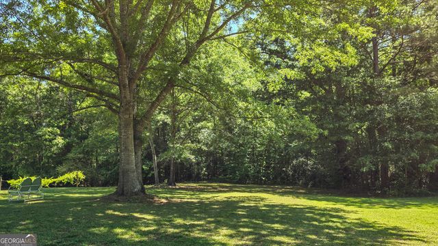 14196 Roosevelt Highway, Greenville, GA 30222