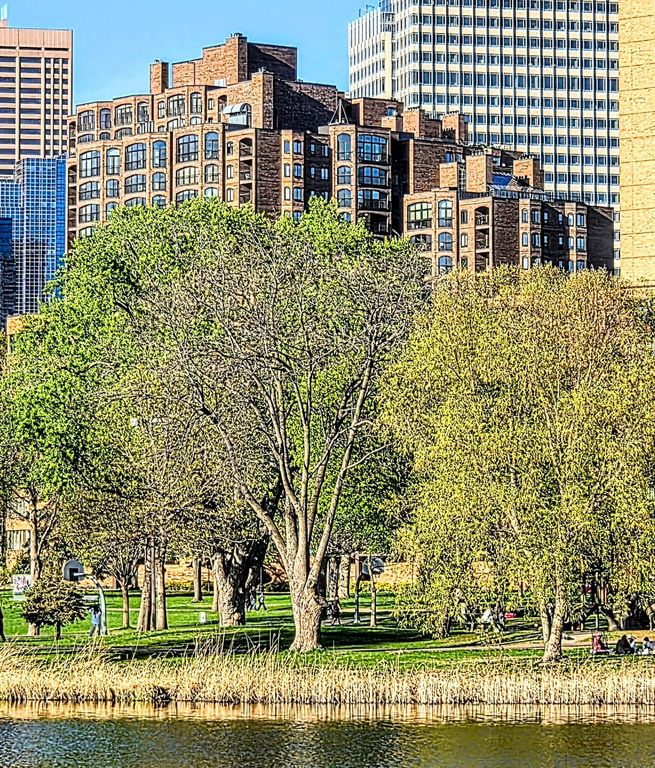1235 Yale Place 1701, Minneapolis, MN 55403 — photo 4
