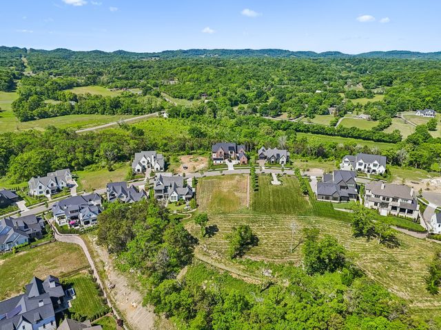 9120 Sawtooth Ln, College Grove, TN 37046