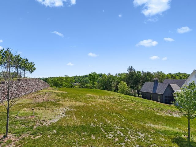 9120 Sawtooth Ln, College Grove, TN 37046