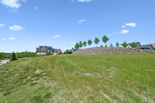 9120 Sawtooth Ln, College Grove, TN 37046