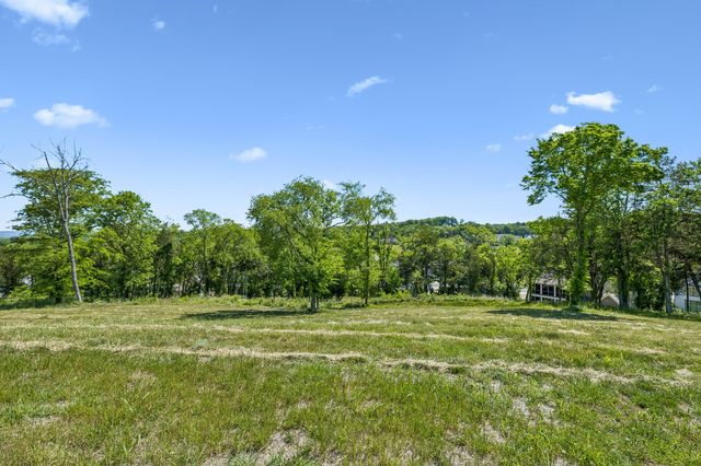 9120 Sawtooth Ln, College Grove, TN 37046