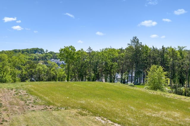 9120 Sawtooth Ln, College Grove, TN 37046